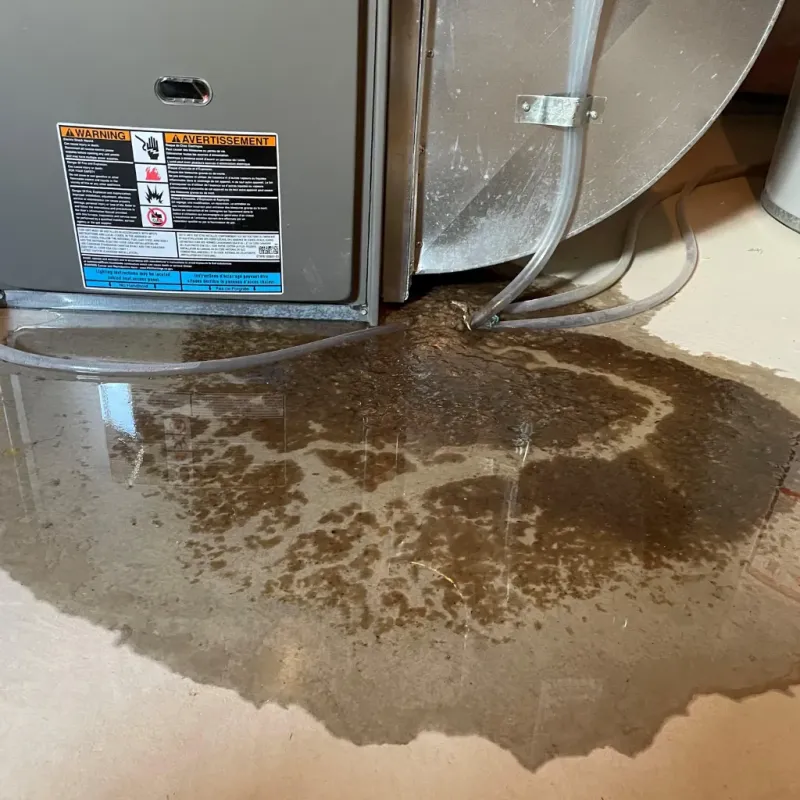 Appliance Leak Cleanup in Roman Forest, TX